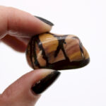 Nguni jaspis - Image 2